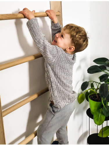 Sprossenwand für Kinder kinderzimmer 235 сm P60