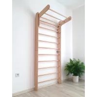 Sprossenwand P210
